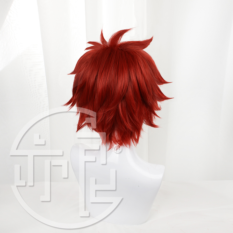 Anime SK8 the Infinity Reki Co – Anime Cosplay With Red Hair recenzja i cena