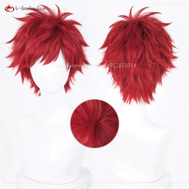Anime Reinhard Van Astrea Cosp – Anime Cosplay With Red Hair recenzja i cena