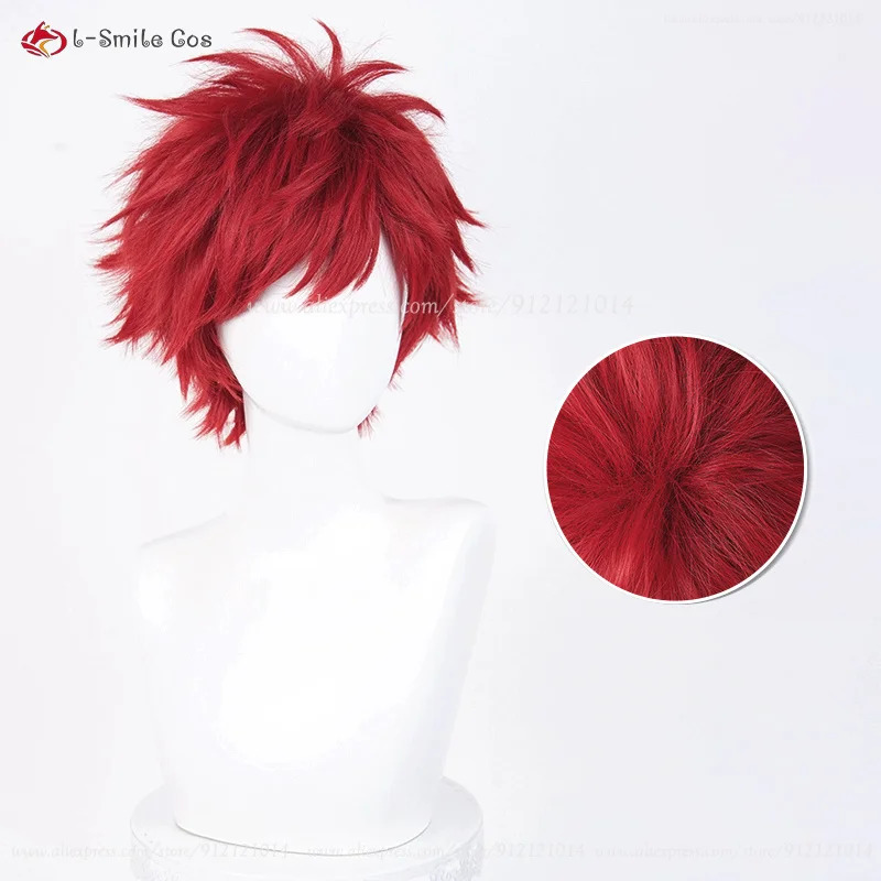 Anime Reinhard Van Astrea Cosp – Anime Cosplay With Red Hair recenzja i cena